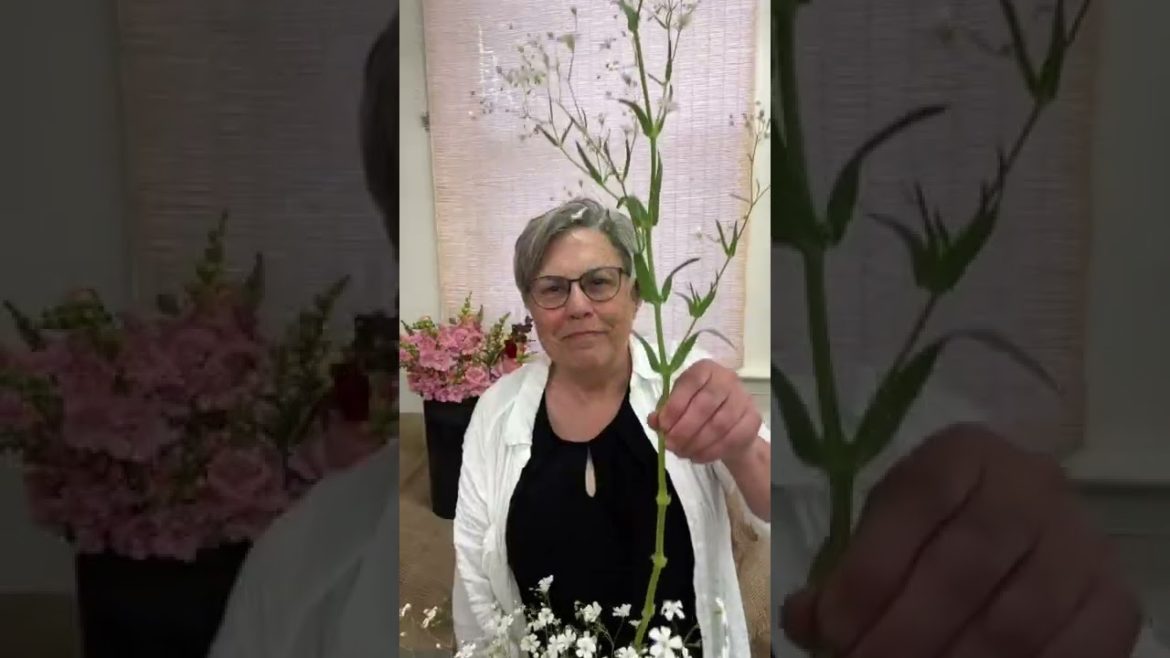 Will your garden be full of Cool Flower blooms in spring and early summer? Will your garden be full of Cool Flower blooms in spring and early summer?