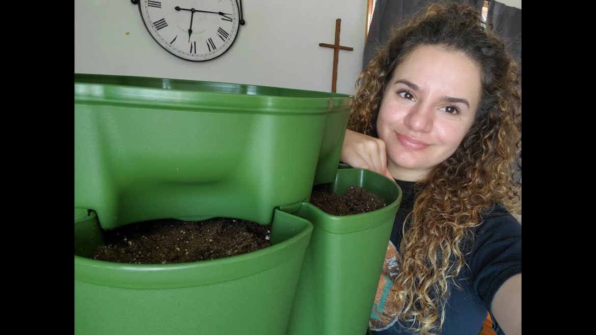 Greenstalk Vertical Planter Setup & Future Garden Plans