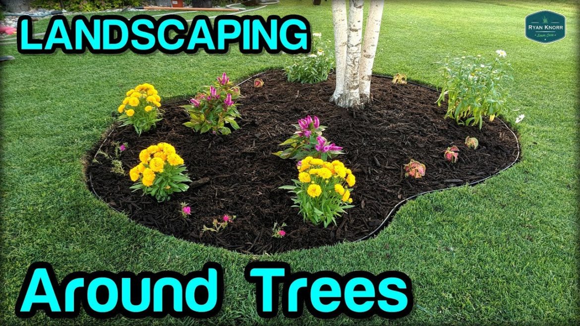 Landscaping / Edging / Mulching Around Trees Landscaping / Edging / Mulching Around Trees