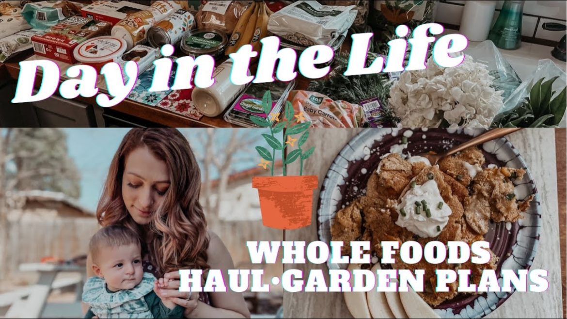 DAY IN THE LIFE| GROCERY HAUL| GARDEN PLANS| RECIPES DAY IN THE LIFE| GROCERY HAUL| GARDEN PLANS| RECIPES