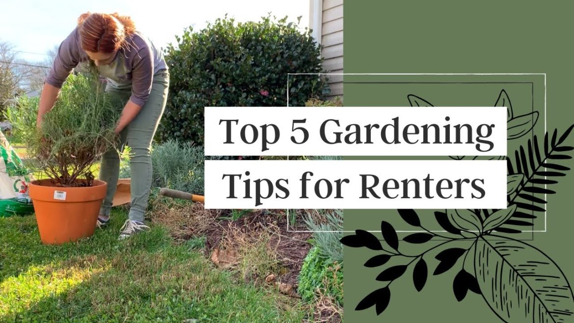 Top 5 Gardening Tips for Renters // Moving Out Garden Clean-Up // Crystal Does Top 5 Gardening Tips for Renters // Moving Out Garden Clean-Up // Crystal Does