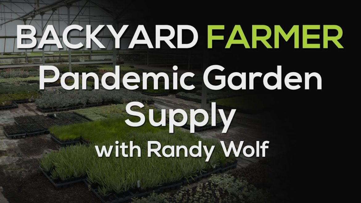 Pandemic Garden Supply