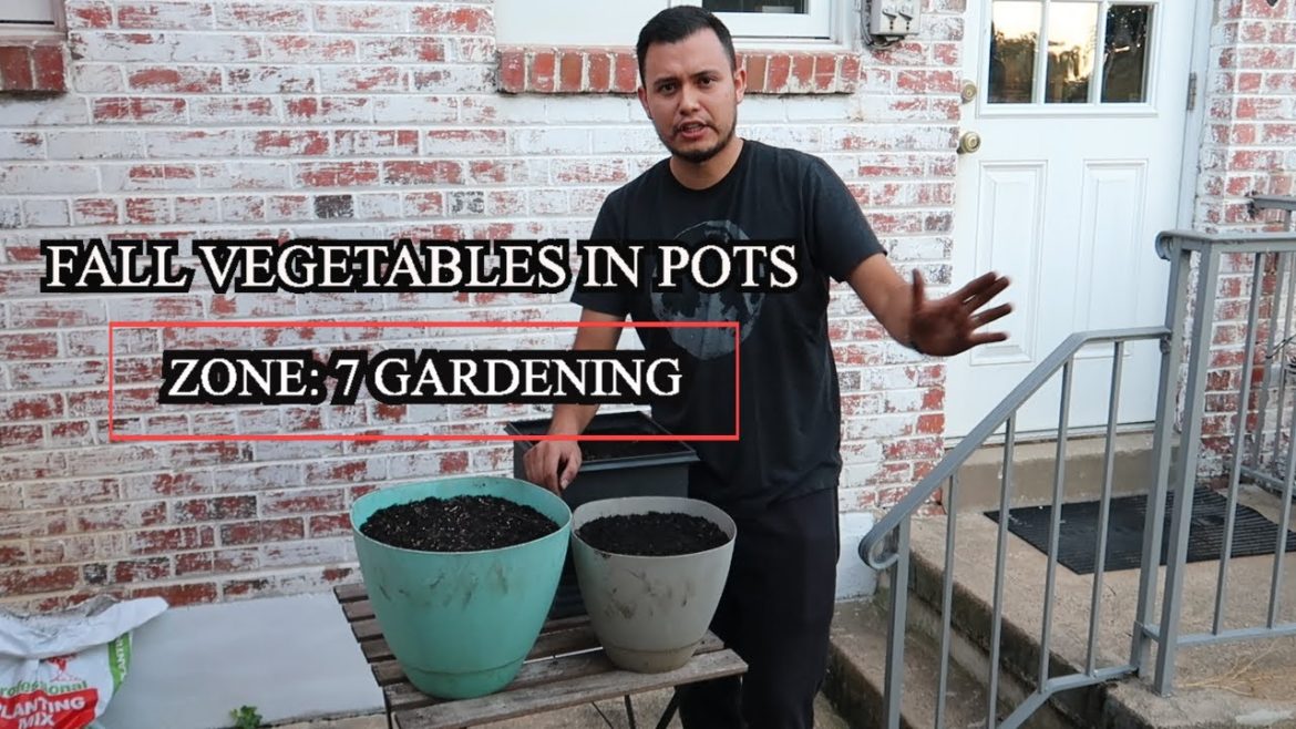 Container Gardening in the FALL: Zone 7 Garden Container Gardening in the FALL: Zone 7 Garden