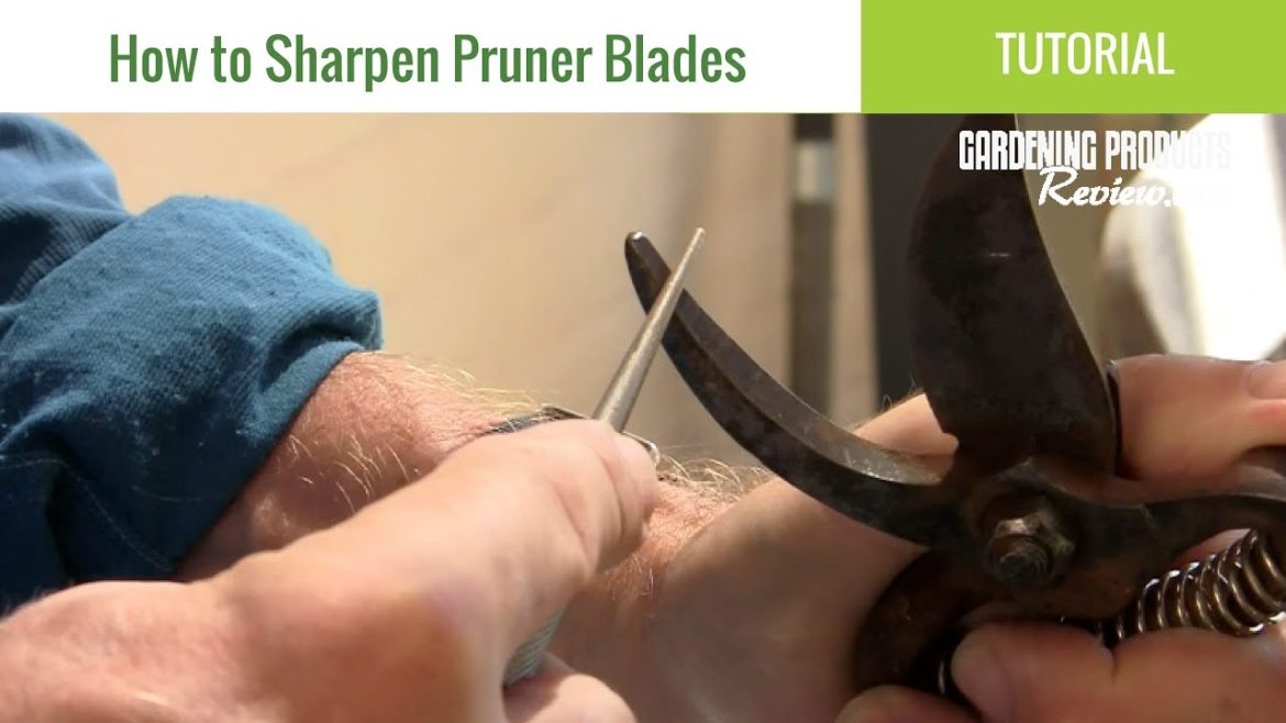 How To Sharpen Bypass Pruner Blades: Tutorial from the Gardening Products Review How To Sharpen Bypass Pruner Blades: Tutorial from the Gardening Products Review