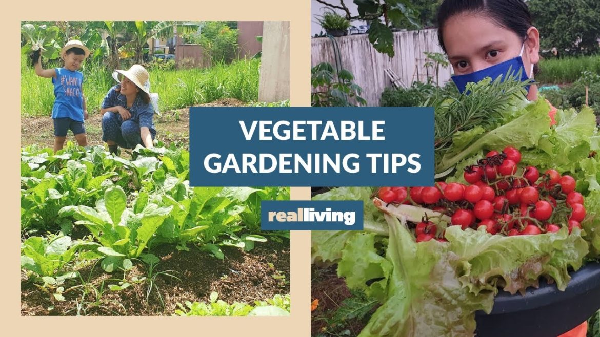 Neri Miranda Shares Vegetable Gardening Tips Neri Miranda Shares Vegetable Gardening Tips