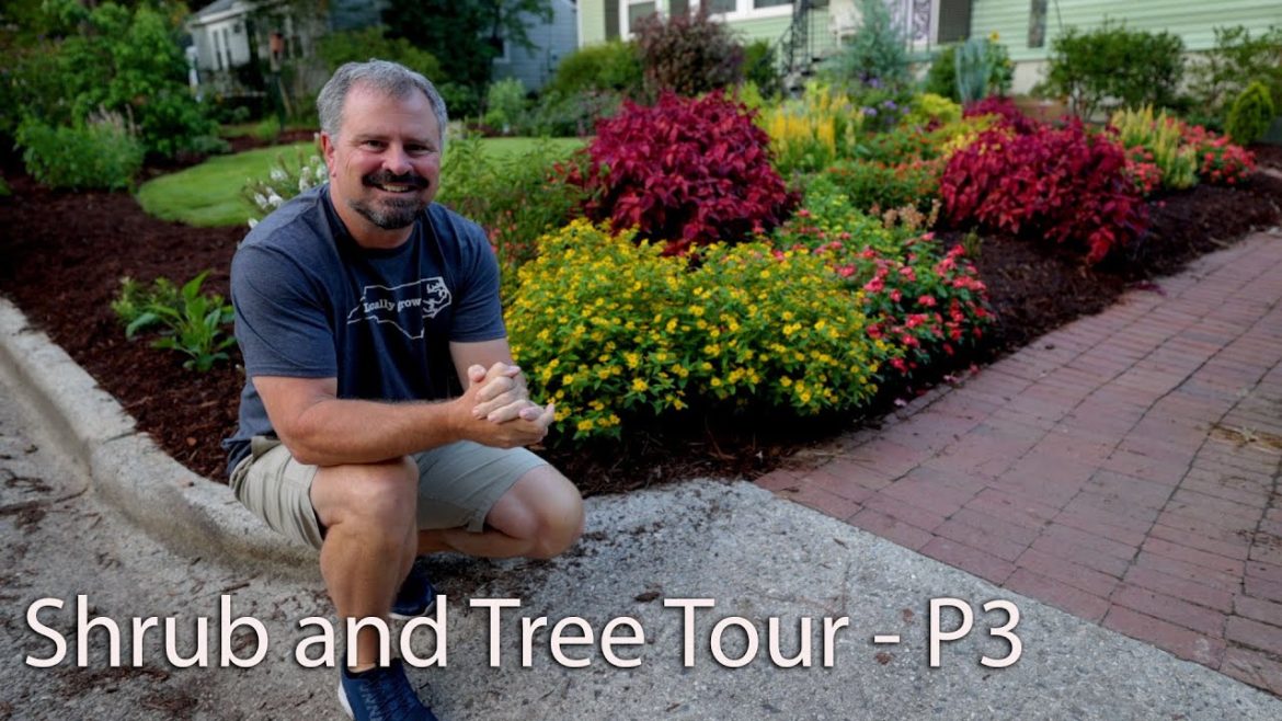 Shrub and Tree Tour – New Landscape 2020 – P3 Shrub and Tree Tour - New Landscape 2020 - P3
