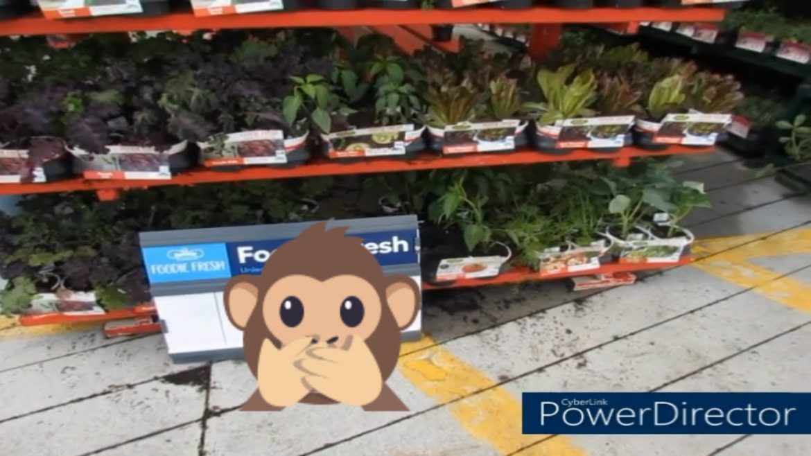 Lowes Gardening Supplies Update| Price Increase