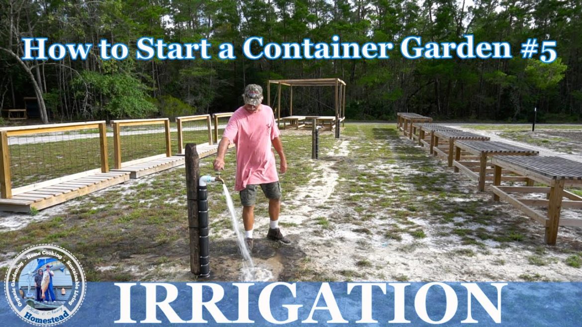How to Start a Container Garden #5 - Irrigation