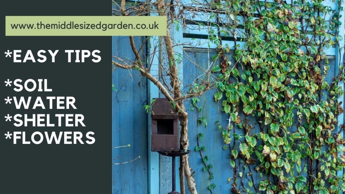 Easy, low maintenance wildlife garden tips – for a beautiful wild garden Easy, low maintenance wildlife garden tips - for a beautiful wild garden