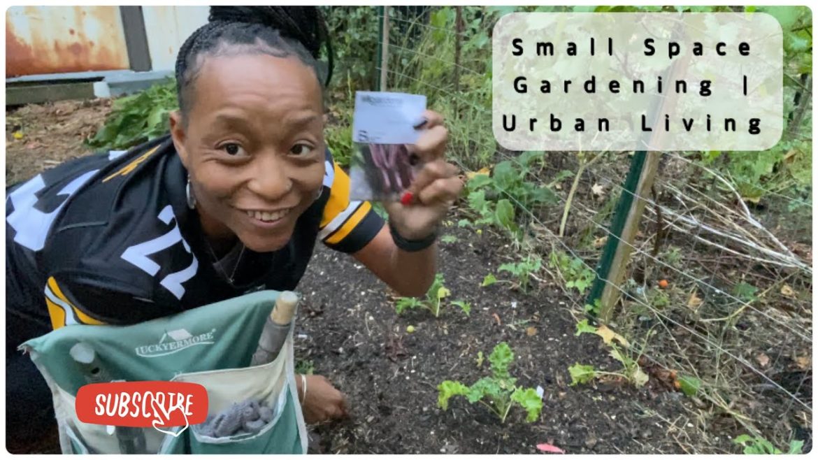 It’s Raining BUT I’m Still Gardening | Planting and Harvesting