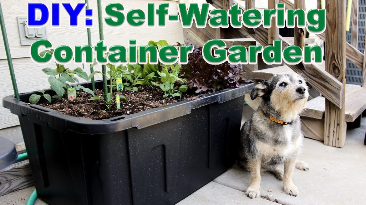 DIY: Self-Watering Container Garden DIY: Self-Watering Container Garden