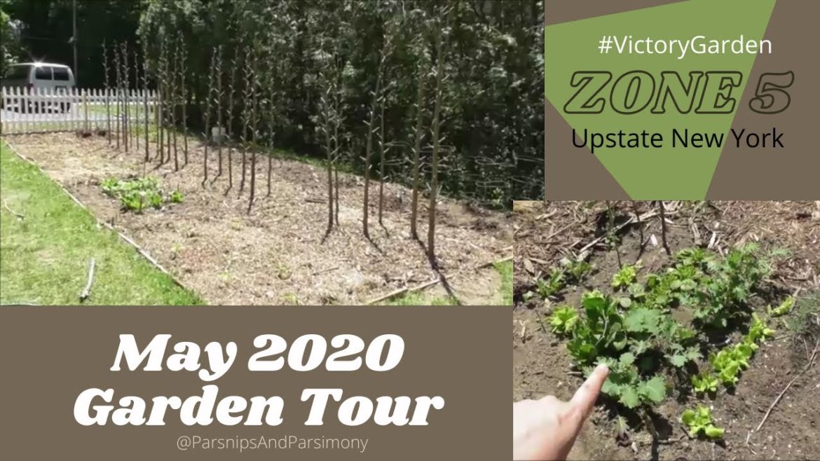 Upstate New York May ZONE 5 | Home Vegetable Garden | 1/3 of Acre