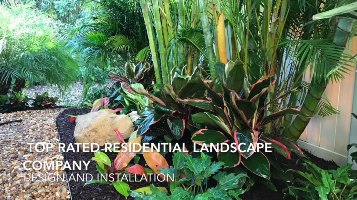 Florida Front and backyard gorgeous Tropical landscapes Florida Front and backyard gorgeous Tropical landscapes