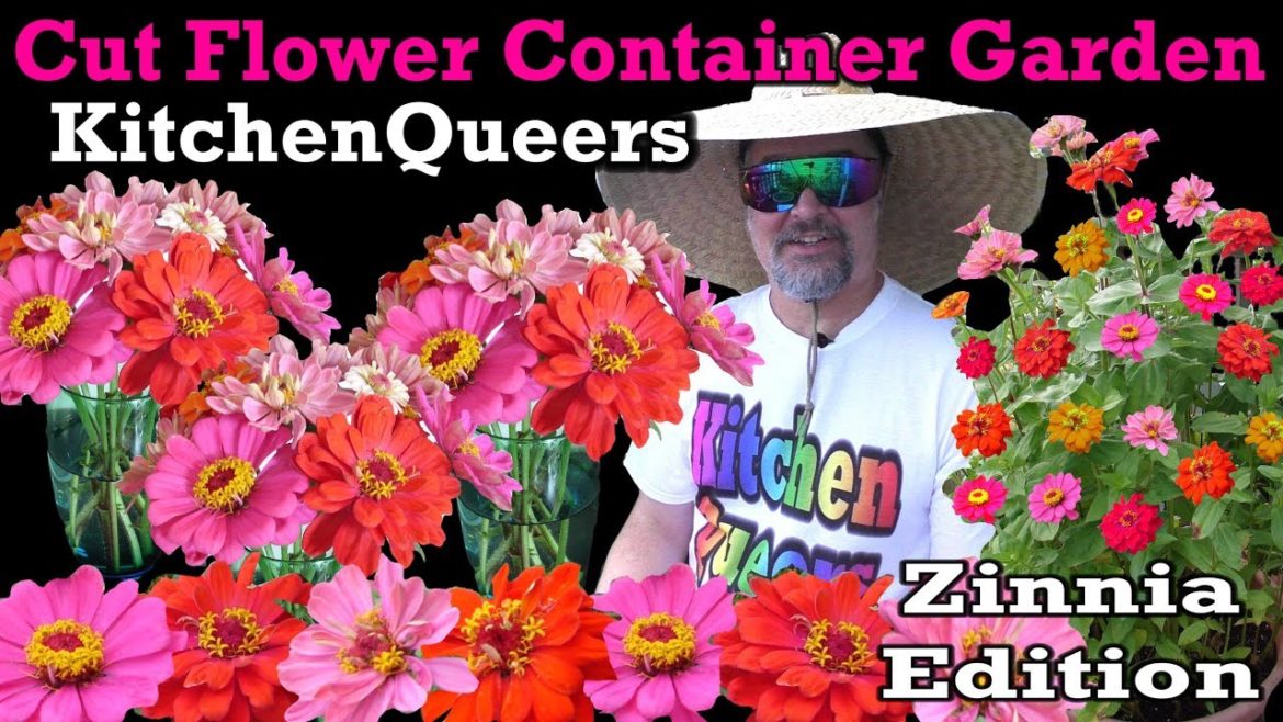 Kitchen Queers Cut Flower Container Garden Tutorial - Zinnia Edition (S3E12-HD)
