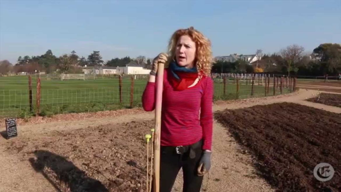 Organic vegetable gardening: Week 1 - Asparagus