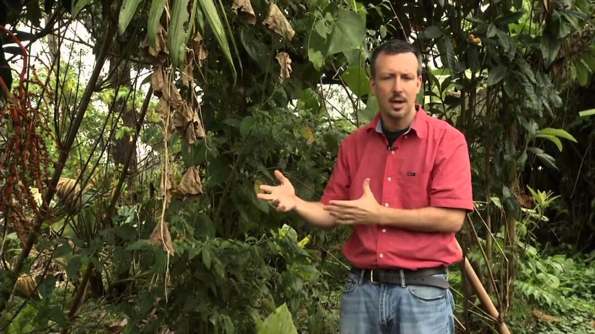 Perennial Vegetable Gardening DVD Trailer Perennial Vegetable Gardening DVD Trailer