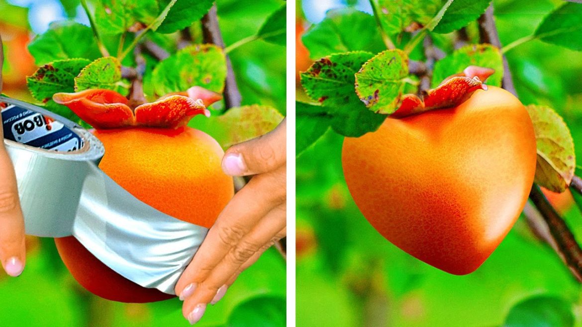 Smart Gardening Tips And Planting Hacks || Useful Gadgets For Your Garden