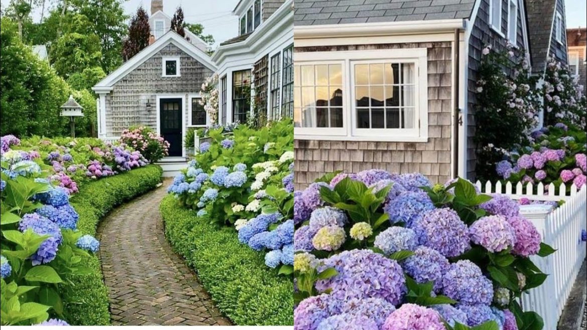 Diy Backyard Garden Ideas | Diy Flower Combination Ideas #diy #backyardgarden #homedecor