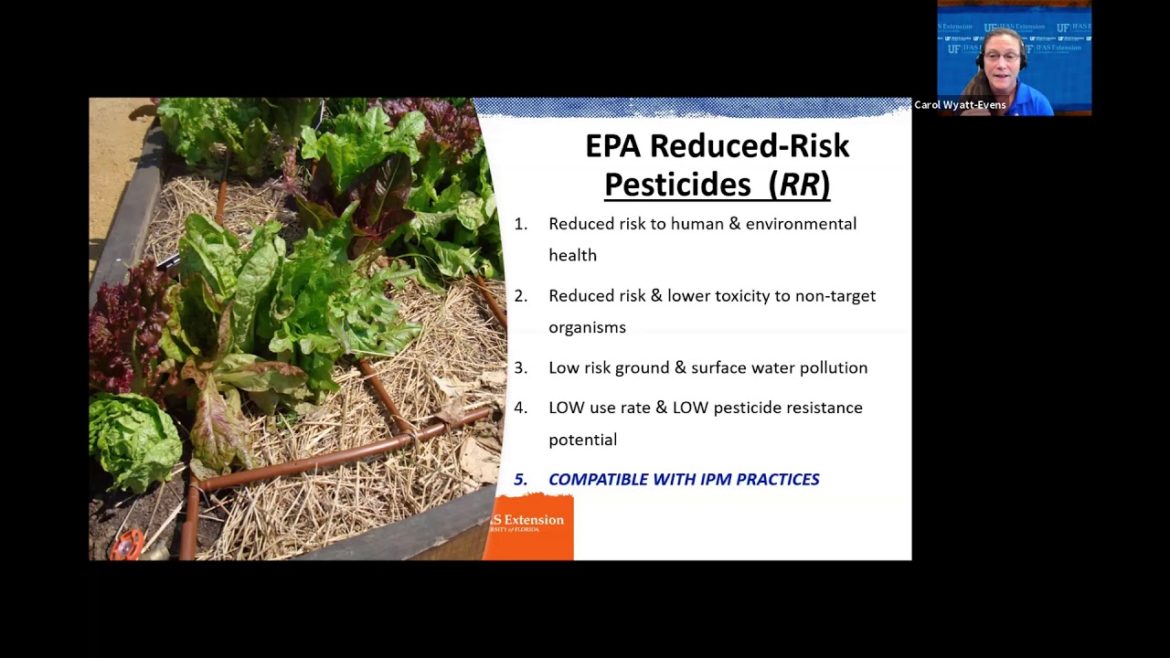 Edible Gardening: Understanding Pesticides (webinar series)