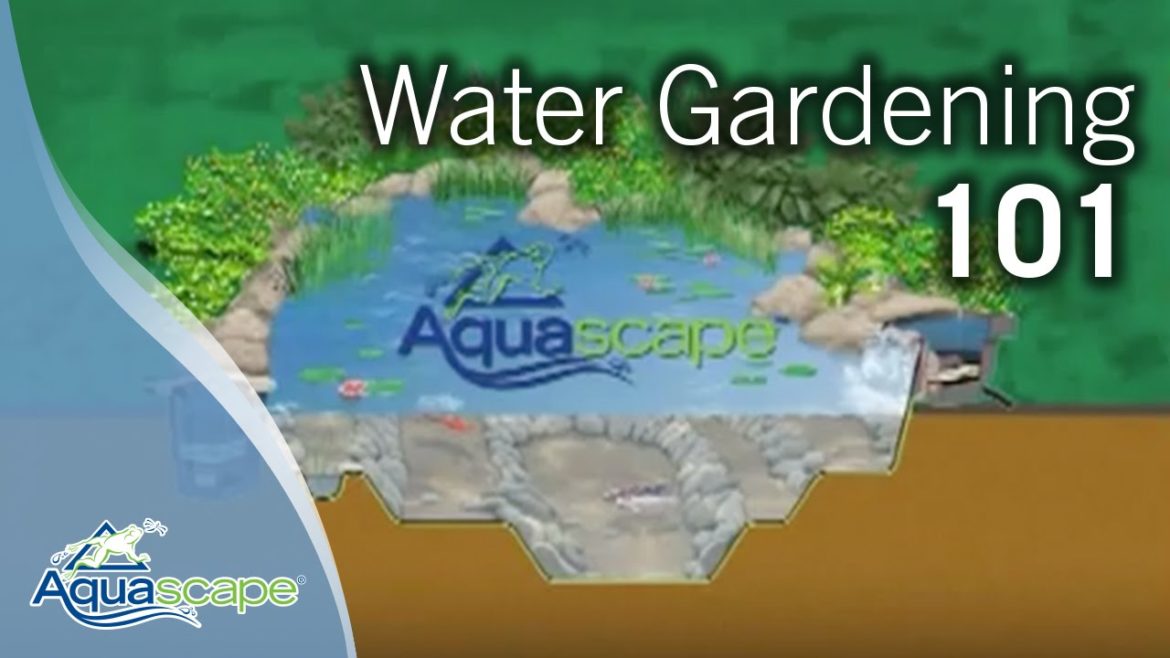 Water Gardening 101