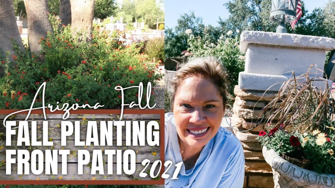Arizona Fall Planting | Front Yard Landscaping Ideas | Zone 9 Planting | New 2021