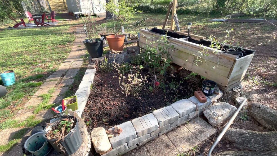 2022 Garden Plans & Update - Georgia Garden Blog