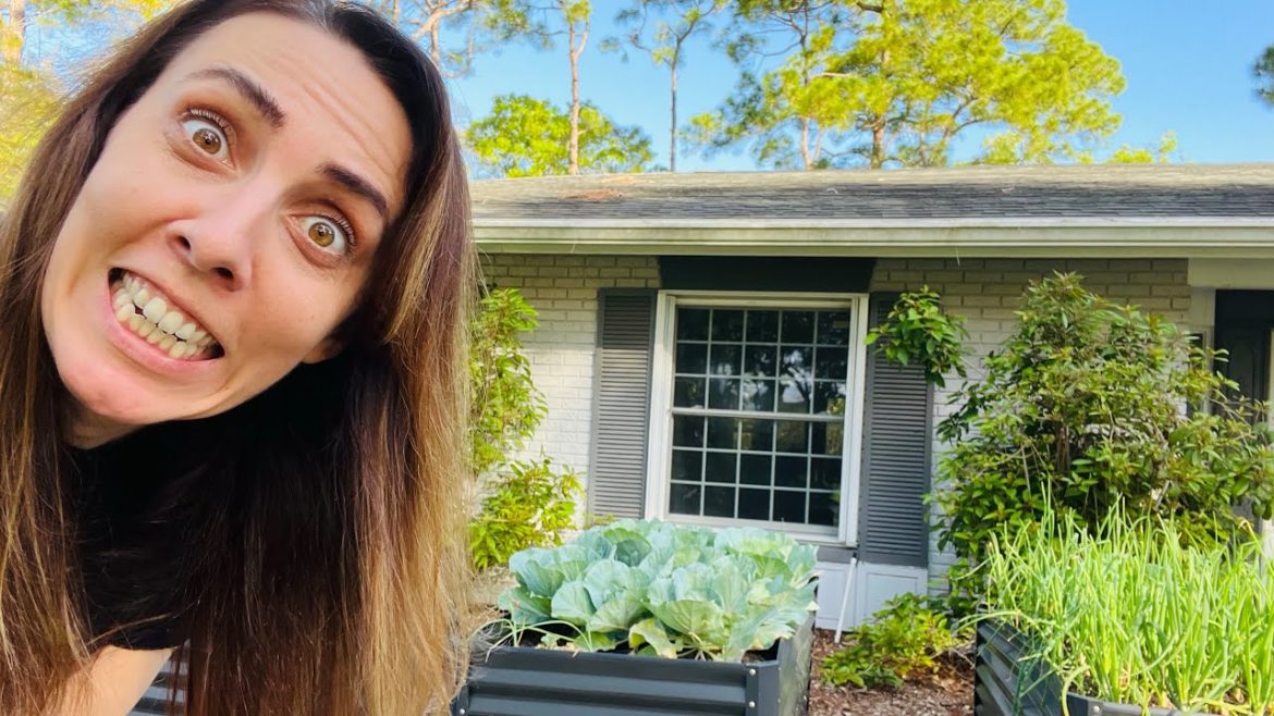 4 reasons YOU'LL FAIL at Spring Florida Vegetable Gardening 4 reasons YOU'LL FAIL at Spring Florida Vegetable Gardening