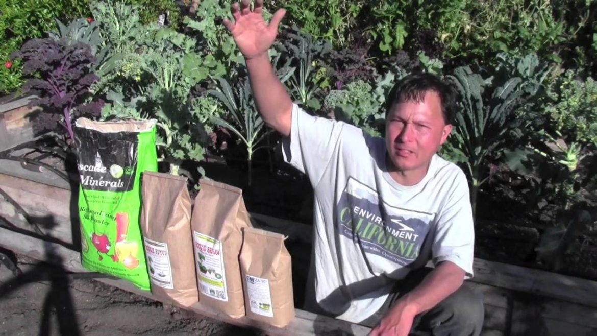 Best Organic Gardening Products for Explosive Plant Growth and Yield Best Organic Gardening Products for Explosive Plant Growth and Yield