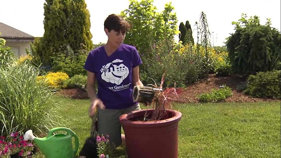 Creating a Container Garden