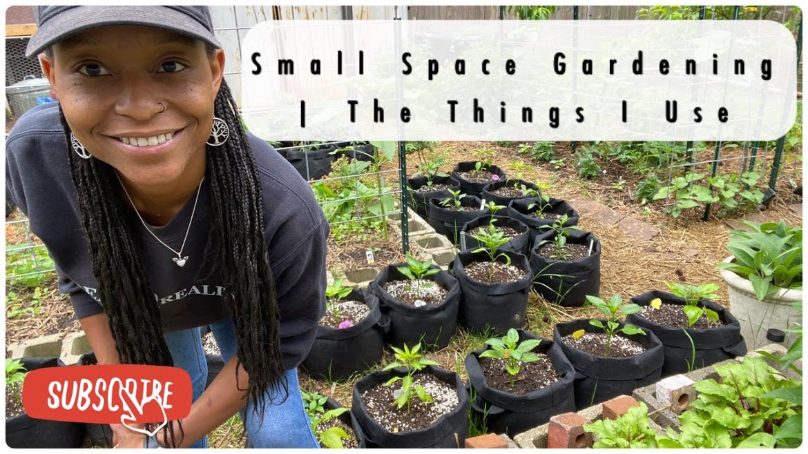 Small Space Gardening | What I Use In My Garden | Somewhat Economically Small Space Gardening | What I Use In My Garden | Somewhat Economically