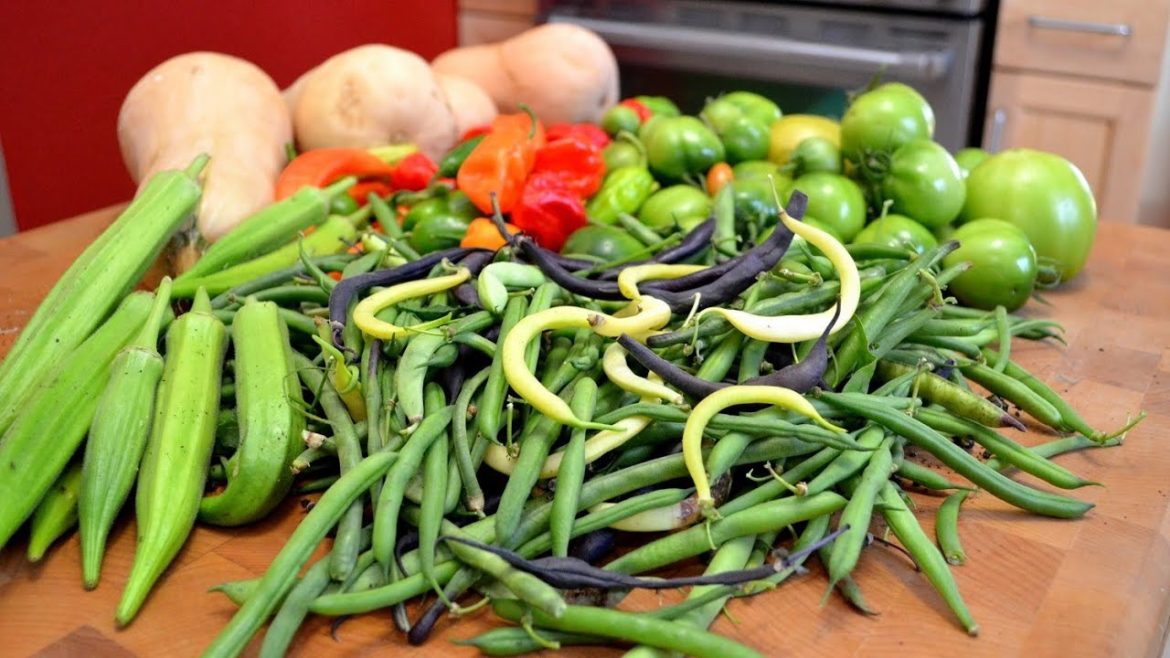 Vegetable Gardening: What they didn't tell you! Vegetable Gardening: What they didn't tell you!