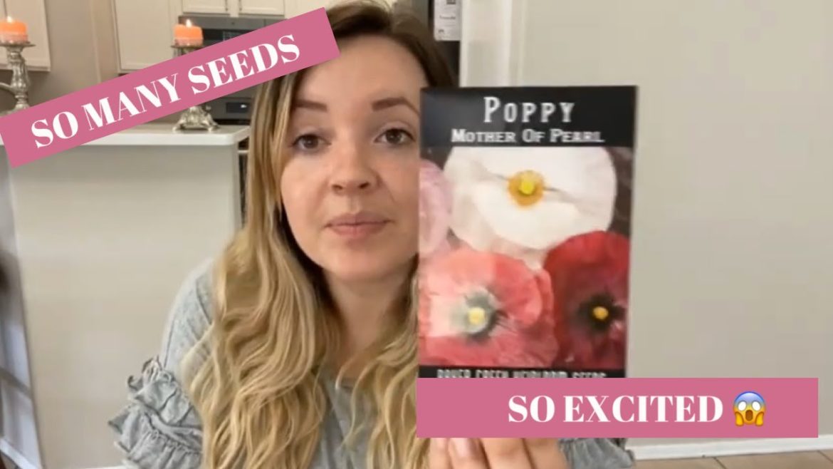 Sharing ALL of my Garden Plans |What I'm planting for Late Summer/Fall |Paisley Acres| Sharing ALL of my Garden Plans |What I'm planting for Late Summer/Fall |Paisley Acres|