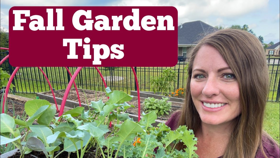 How To Plant a Fall Garden/Fall Garden Tips How To Plant a Fall Garden/Fall Garden Tips