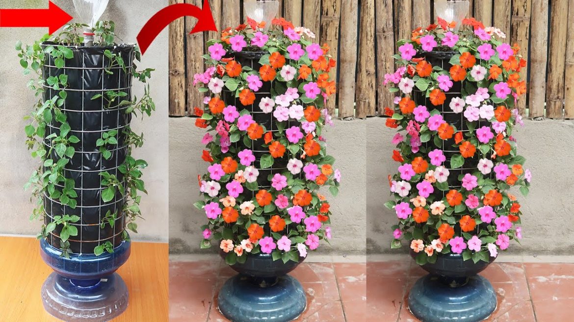 Creative Jade Flower Garden Ideas – How To Grow Beautiful Jade Flowers For The Garden Creative Jade Flower Garden Ideas - How To Grow Beautiful Jade Flowers For The Garden