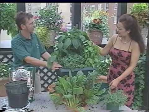 Common Sense Gardener Explains Patio Gardening Tips & Tricks Common Sense Gardener Explains Patio Gardening Tips & Tricks