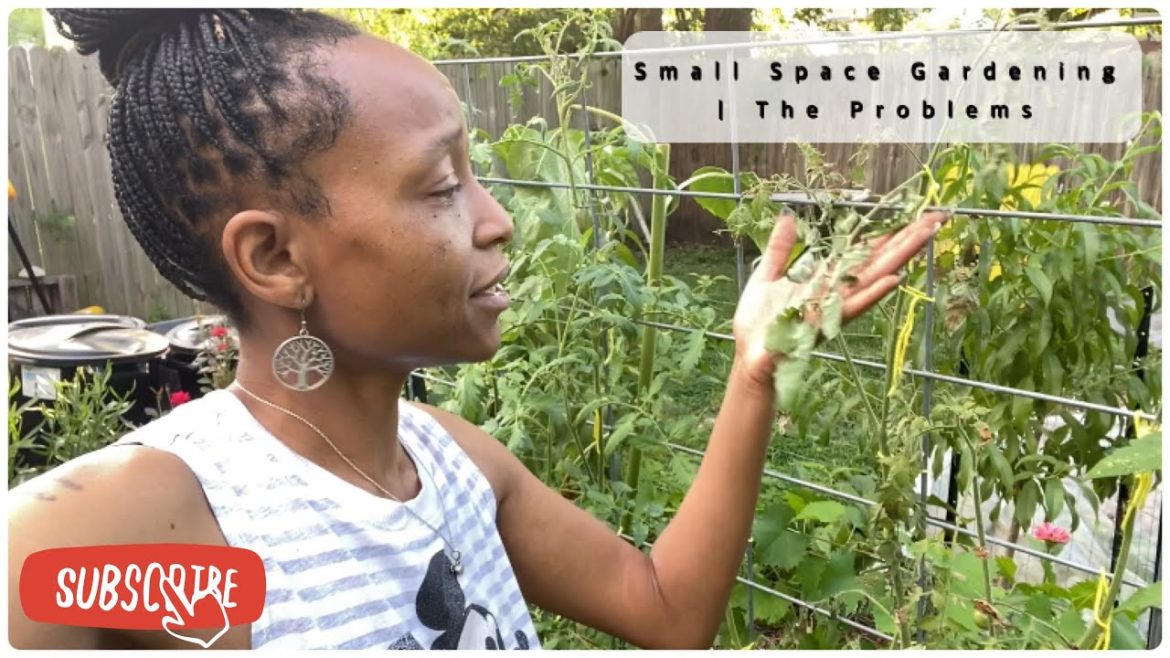 Small Space Gardening | The Problems