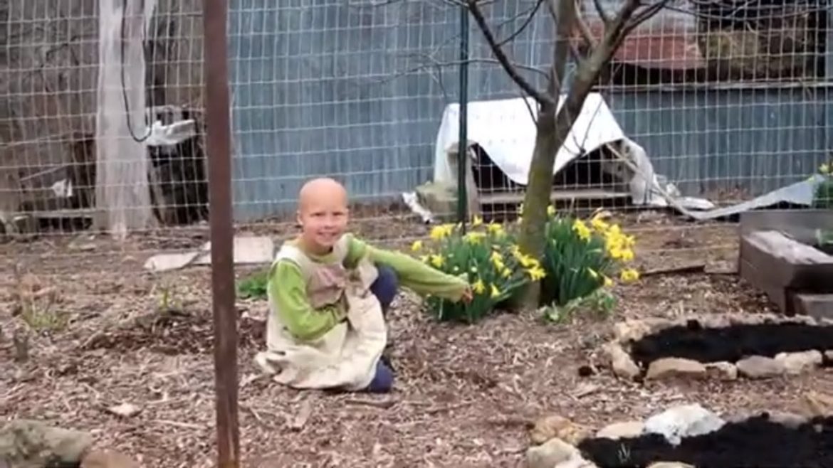 Garden Plans For 2019!