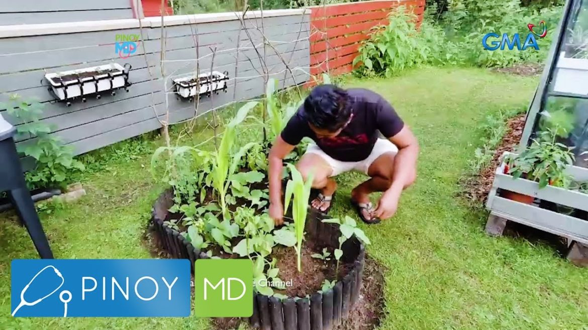 Pinoy MD: Edible gardening at home!