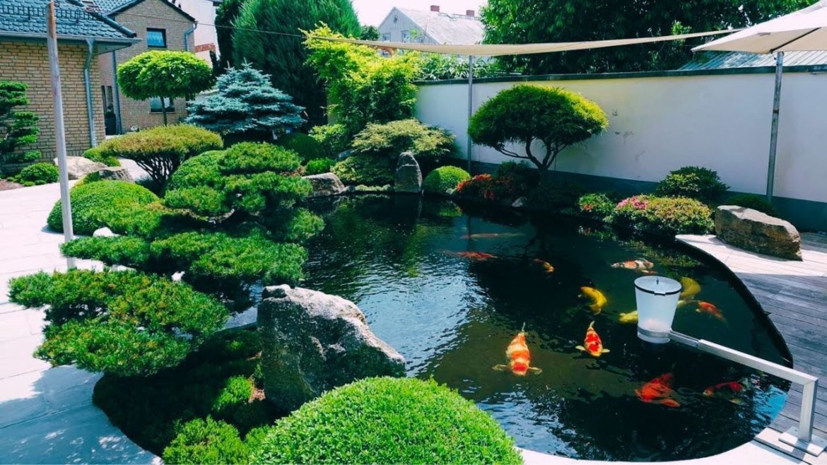 Top 7 Beautiful Koi Villa | Best Japanese Garden Koi Pond Ideas Top 7 Beautiful Koi Villa | Best Japanese Garden Koi Pond Ideas