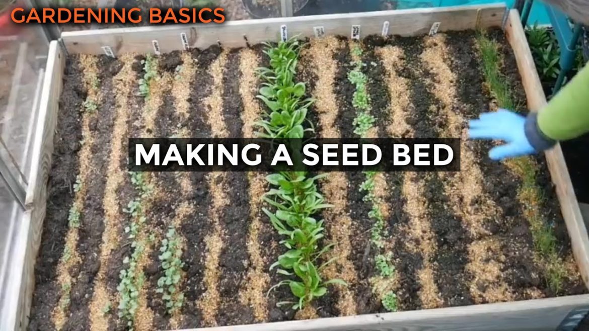 Incredibly Easy Cat Proof Seed Bed | Self Sufficient Vegetable Gardening for Beginners