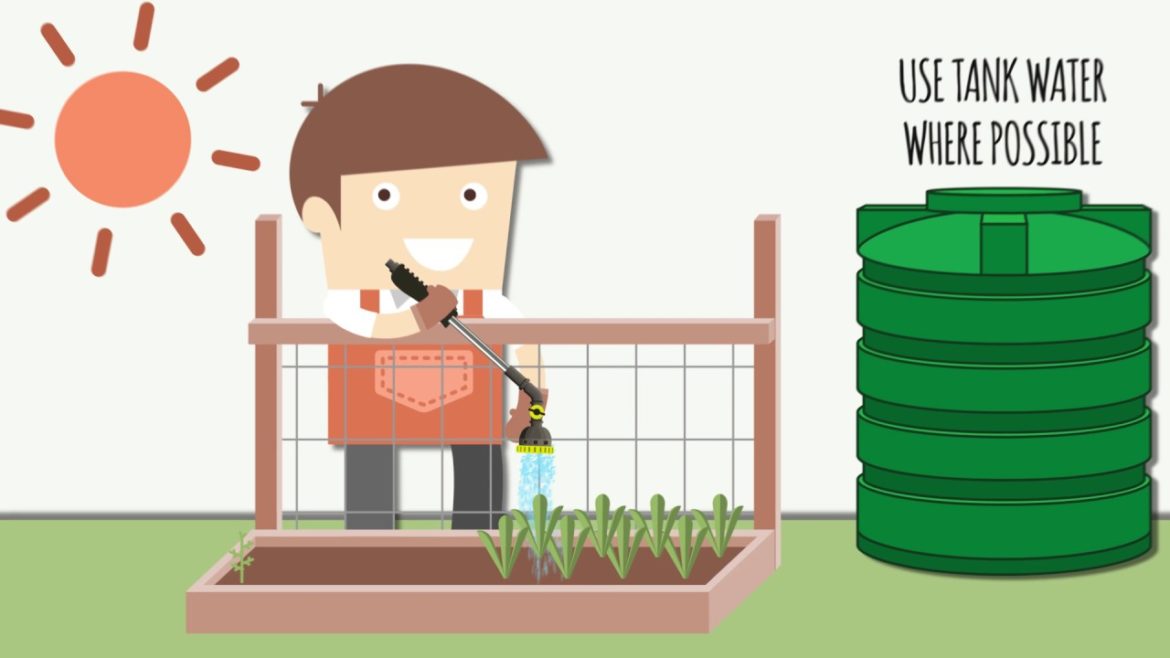 Water saving gardening tips