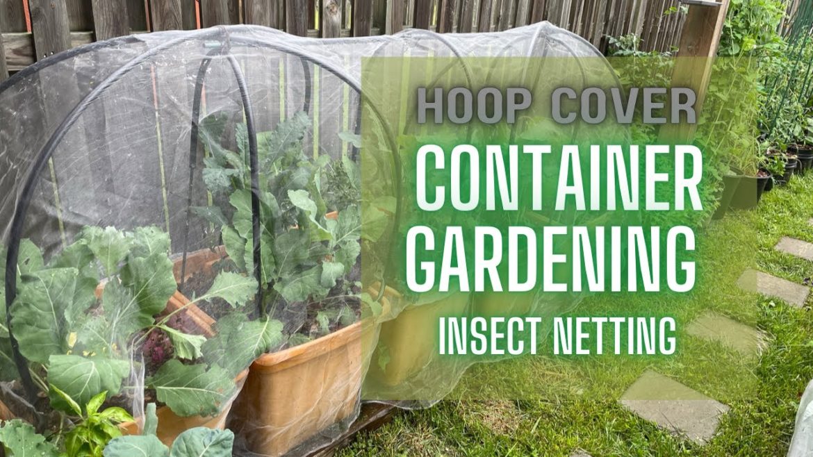 Tote Container Gardening with Hoop Cover Insect Netting Cabbage Worm Prevention