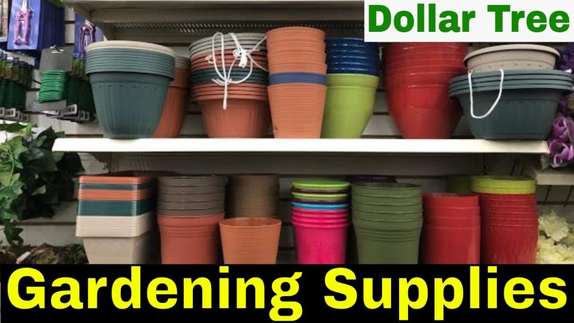 Cheap Gardening Supplies at Dollar Tree Cheap Gardening Supplies at Dollar Tree