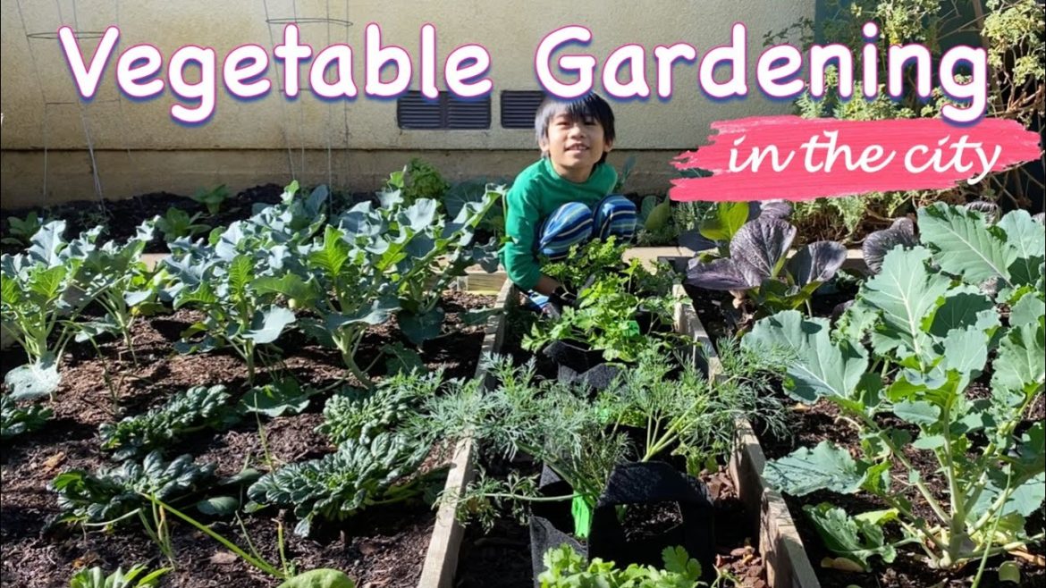 Vegetable Gardening In The City  #shorts