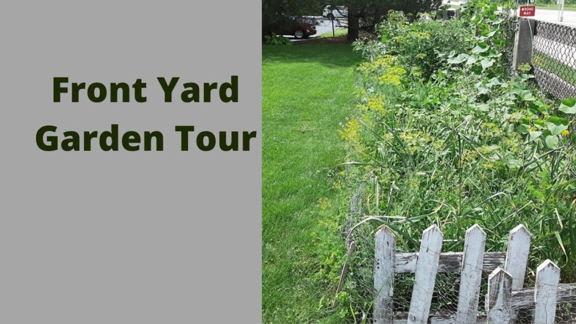 Front Yard Garden Tour