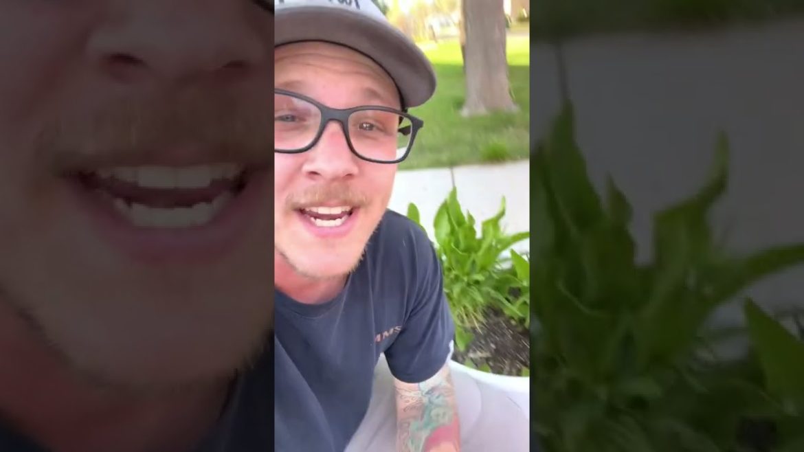 Container Gardening - Container Horseradish!