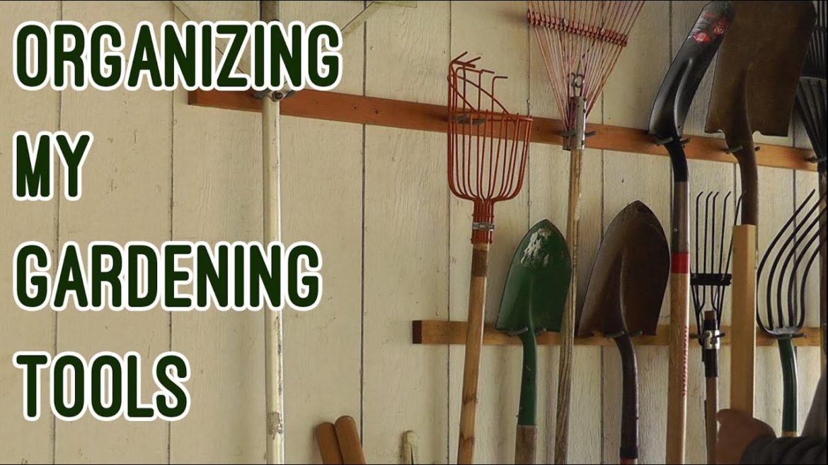 Organizing My Gardening Tools