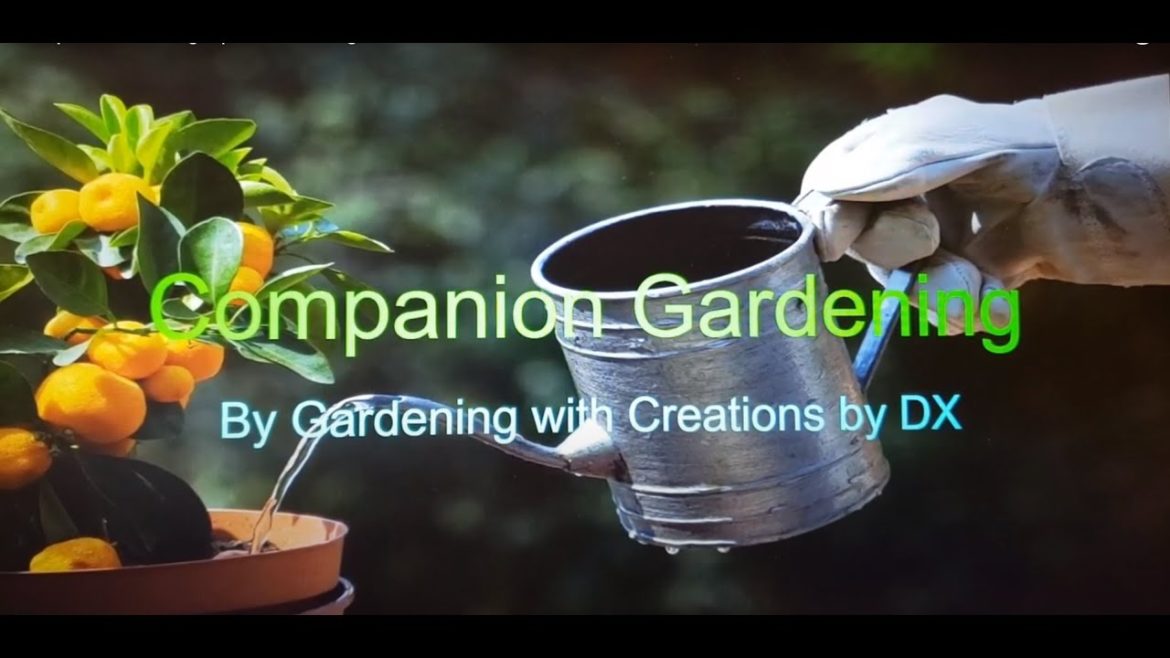 Companion Planting Tips For The Beginner Gardener!?!