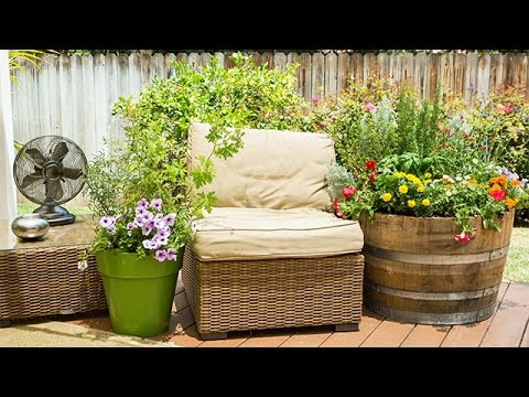 How To – DIY Mosquito Repelling Container Garden – Hallmark Channel How To - DIY Mosquito Repelling Container Garden - Hallmark Channel