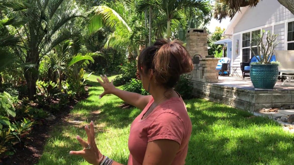 Backyard tour of Florida plants that last. Backyard tour of Florida plants that last.